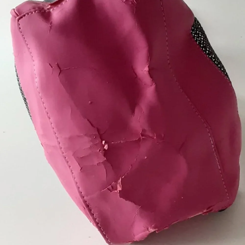 American Girl Coconut Dog Carry Case and Accessories + Bonus Book